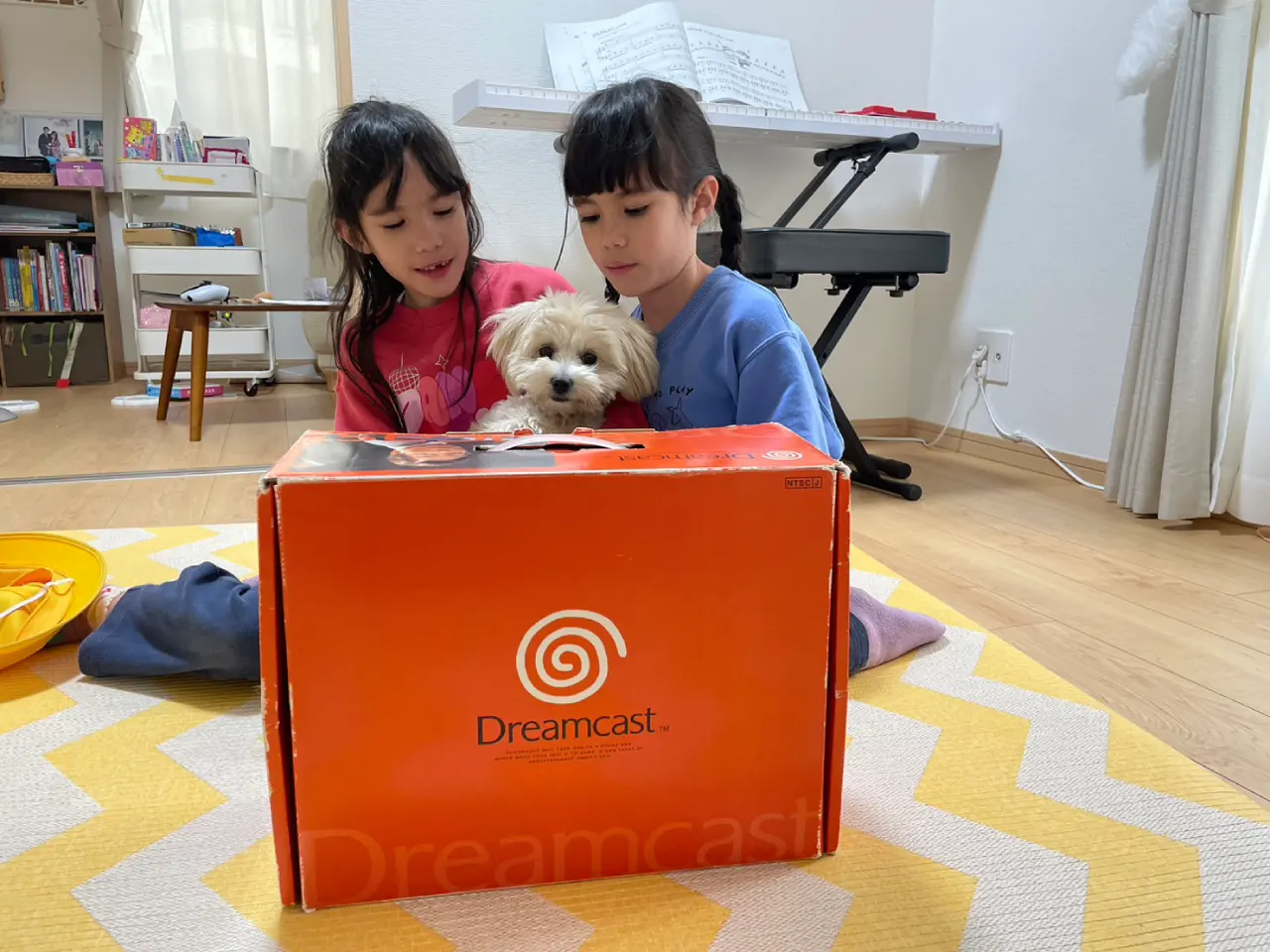 Dreamcast 25 aniversario